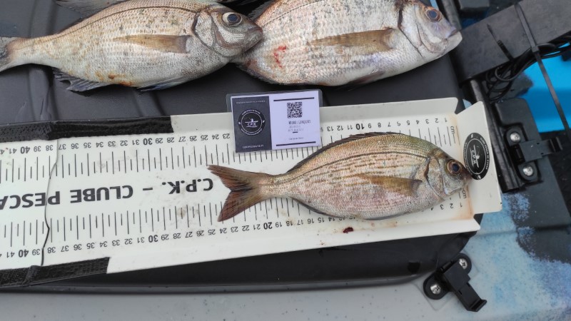 Fish Measure Picture